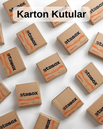 Karton Kutular